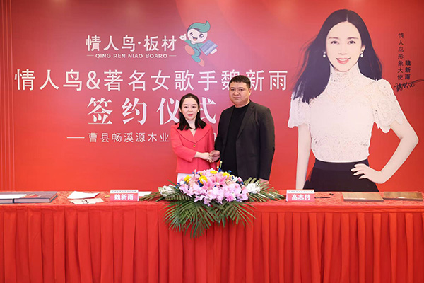 案例展示