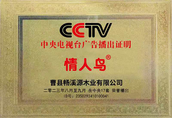 案例展示