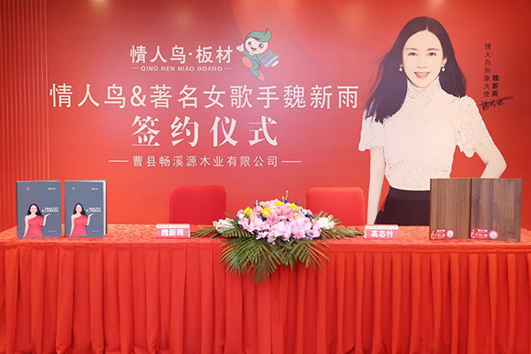 案例展示